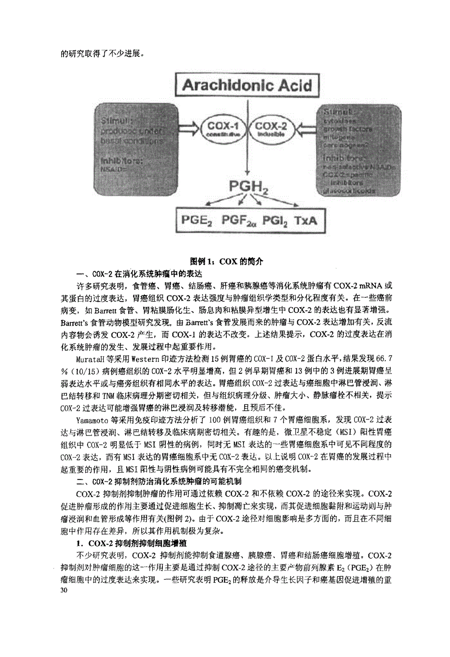 基于环氧合酶2在肿瘤发生、发展中的作用+——论胃癌的化学预防_第2页