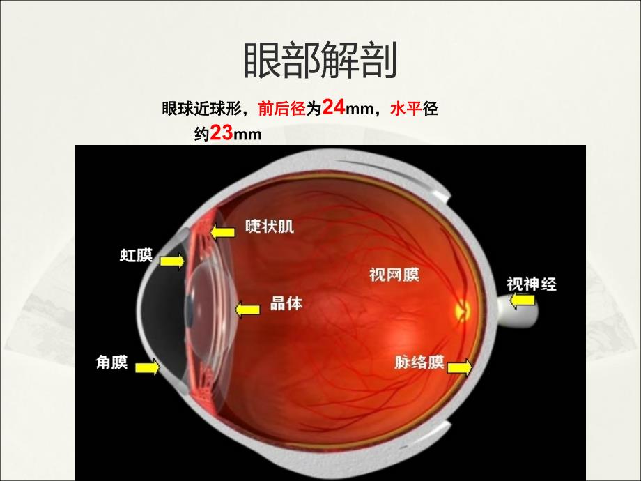 屈光不正斜视弱视课件_第3页