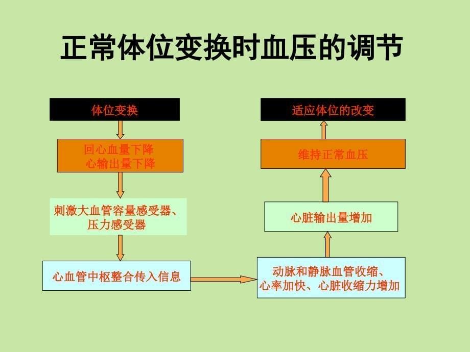 老年高血压的波动性与体位性低血压课件_第5页