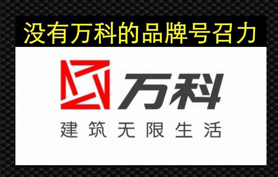 2011深圳中原策划大赛策划项目（上）_第5页