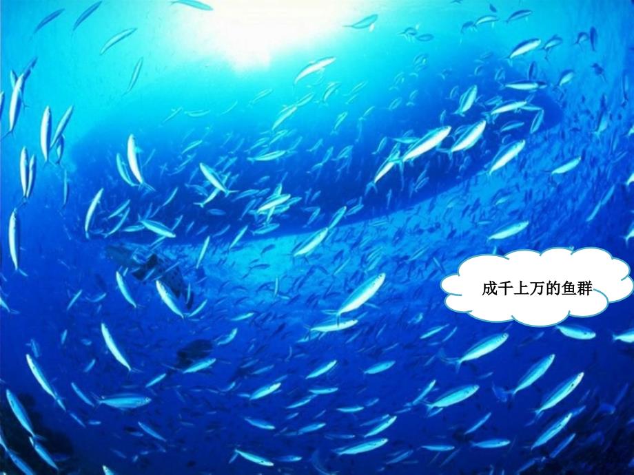 一年级上册音乐课件-水族馆-人教新课标版（2014秋_第3页