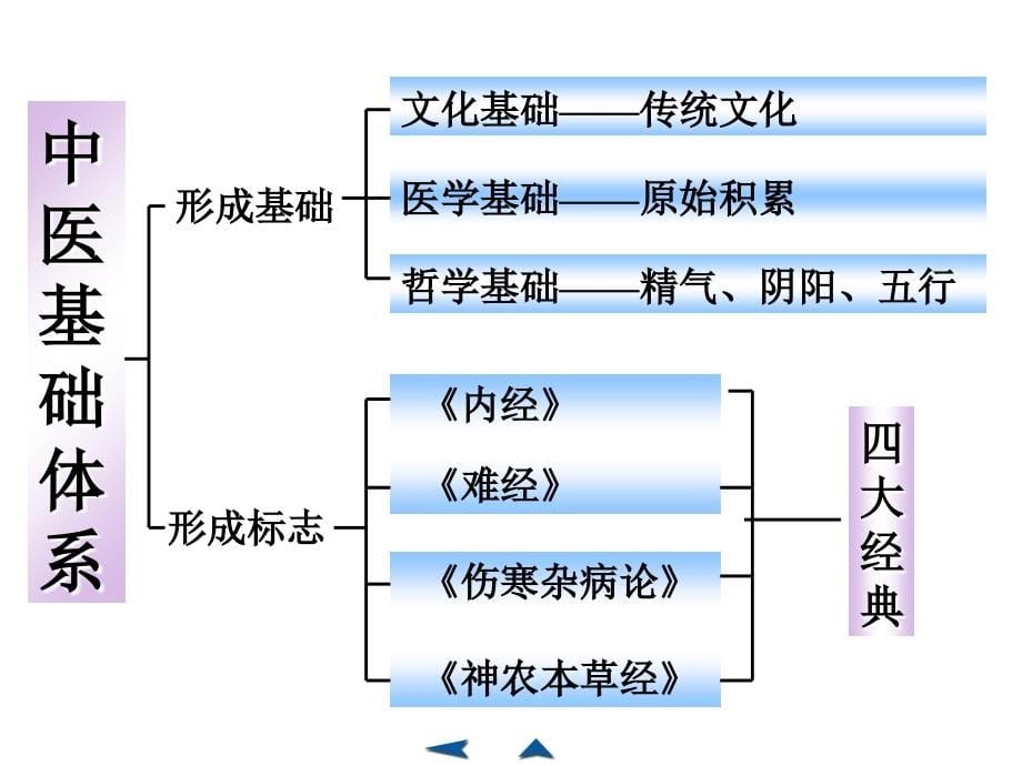 医学基础理论ppt培训课件_第5页