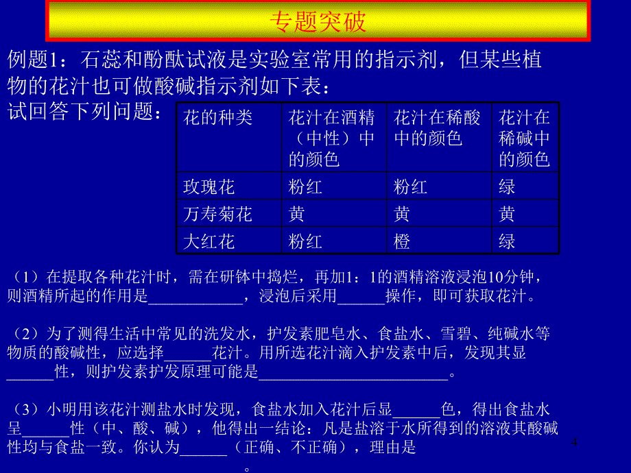 中考化学复习高效课堂第9讲酸碱盐复习专题(一) 28p_第4页