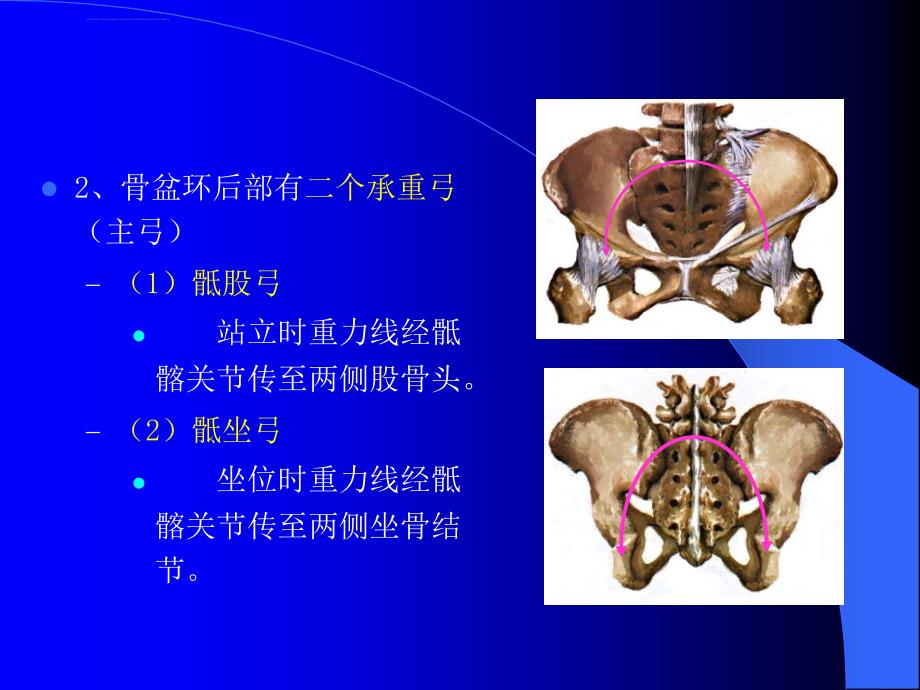 医学课件骨盆骨折课件_第3页