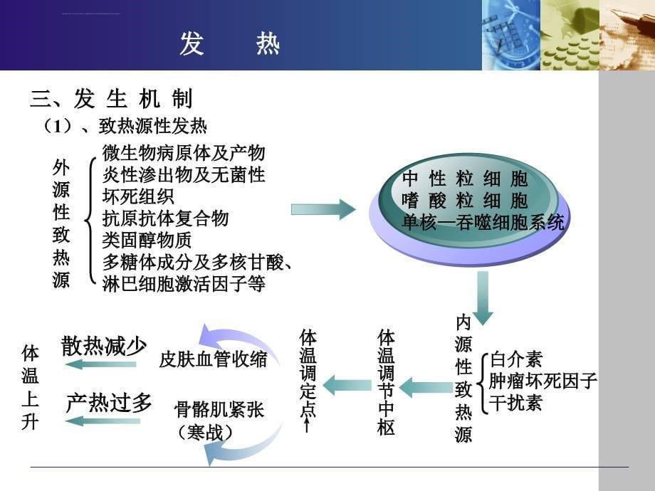 症状学发热课件_第5页