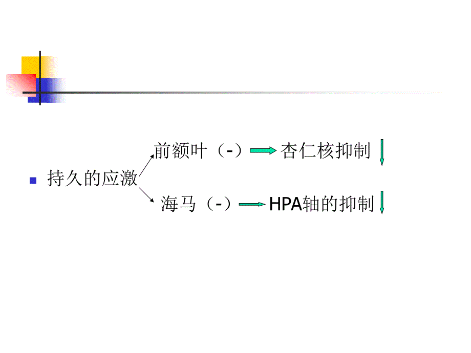 应激相关障碍1课件_第5页