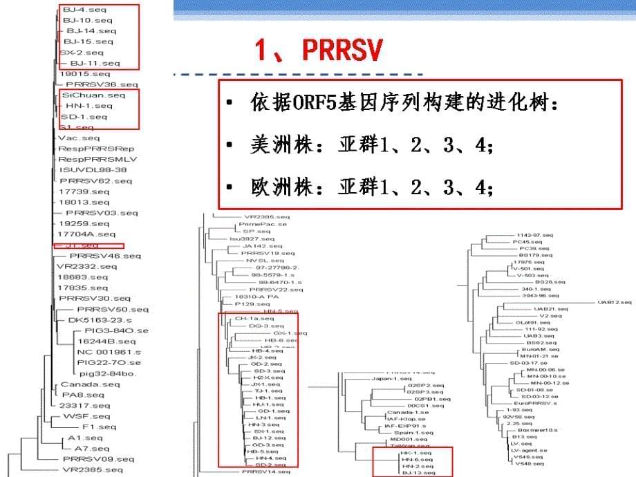 蓝耳病控制观念与实践_第5页