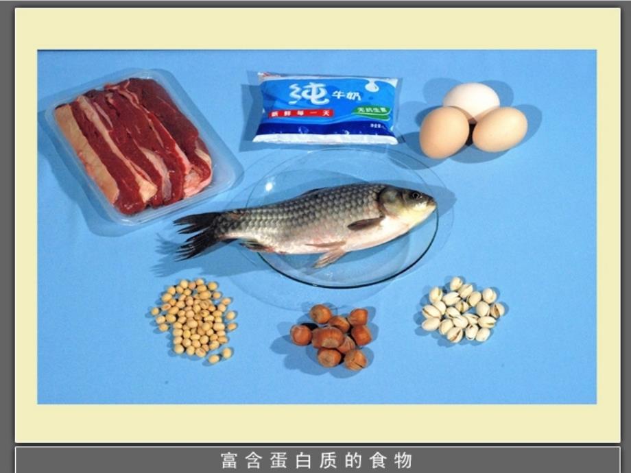 六年级科学上册 2.1 食物中的营养课件1 湘教版_第4页
