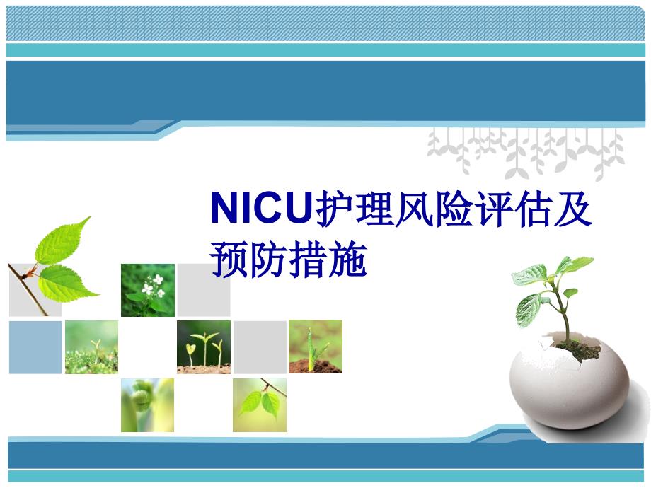 NICU风险评估ppt课件_第1页