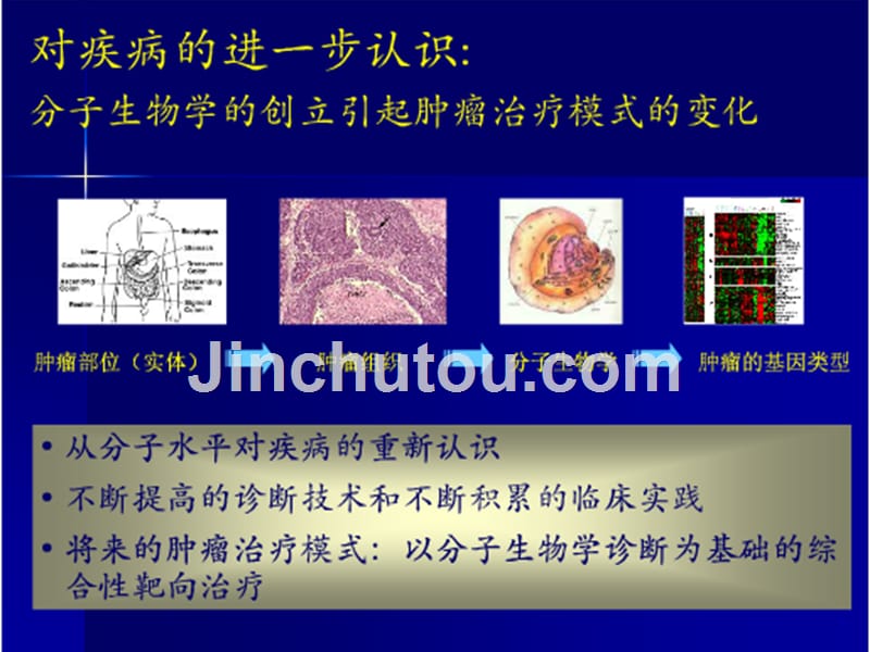 放疗与化疗的作用机理ppt课件_第4页