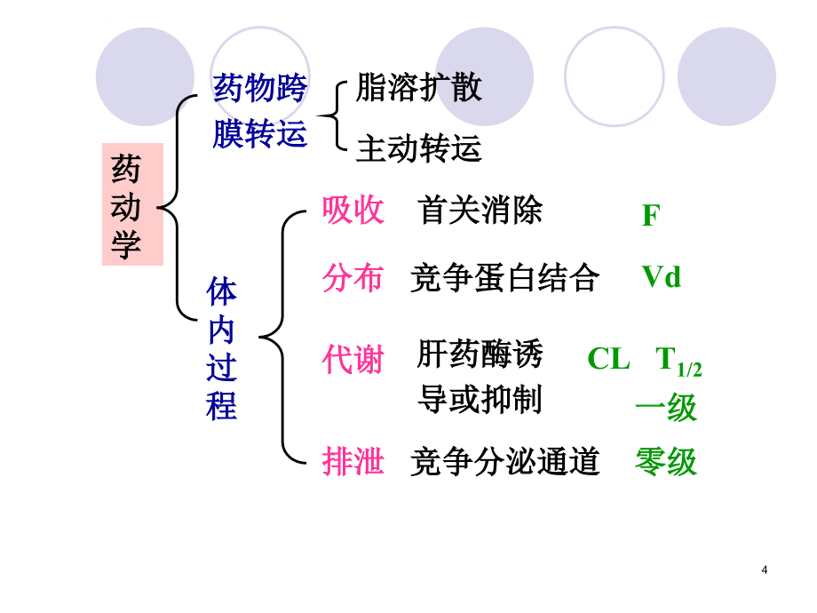 药理学总复习课件_第4页