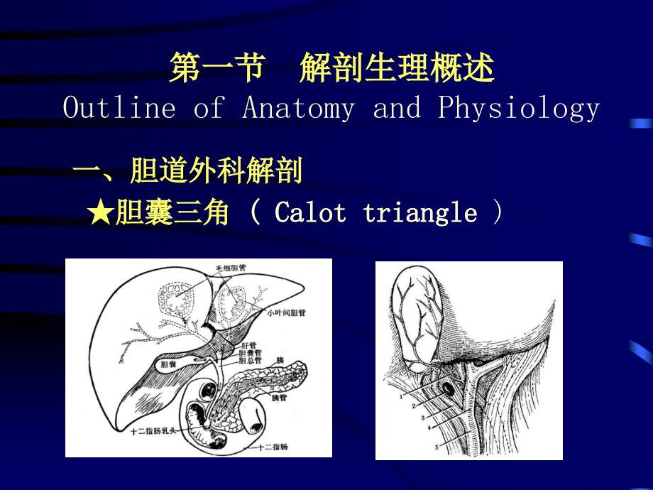 胆道疾病讲稿ppt培训课件_第4页