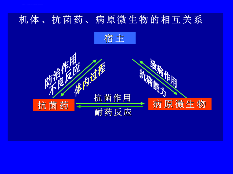 抗微生物药ppt培训课件_第2页