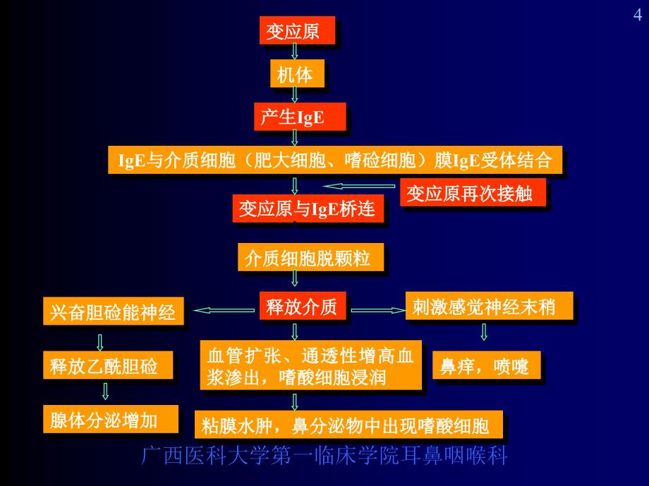 耳鼻喉ppt课件_第4页