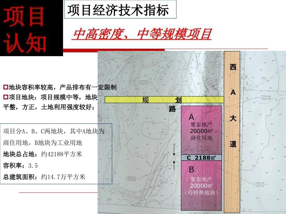 聚泰地产大亚湾西区项目定位报告ppt培训课件_第5页