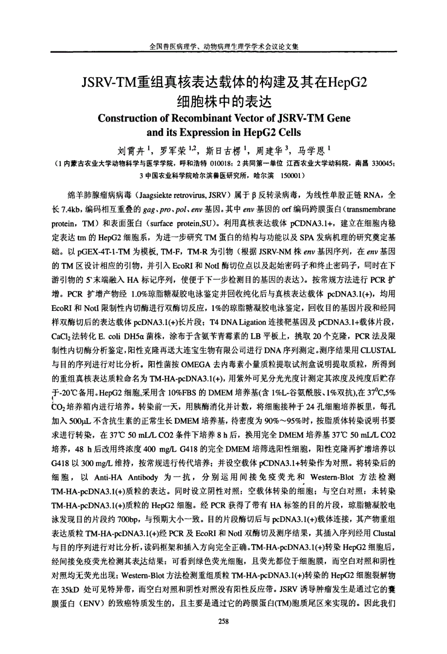 JSRV-TM重组真核表达载体的构建及其在HepG2细胞株中的表达_第1页