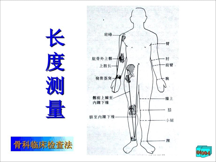 骨科临床检查法_第5页