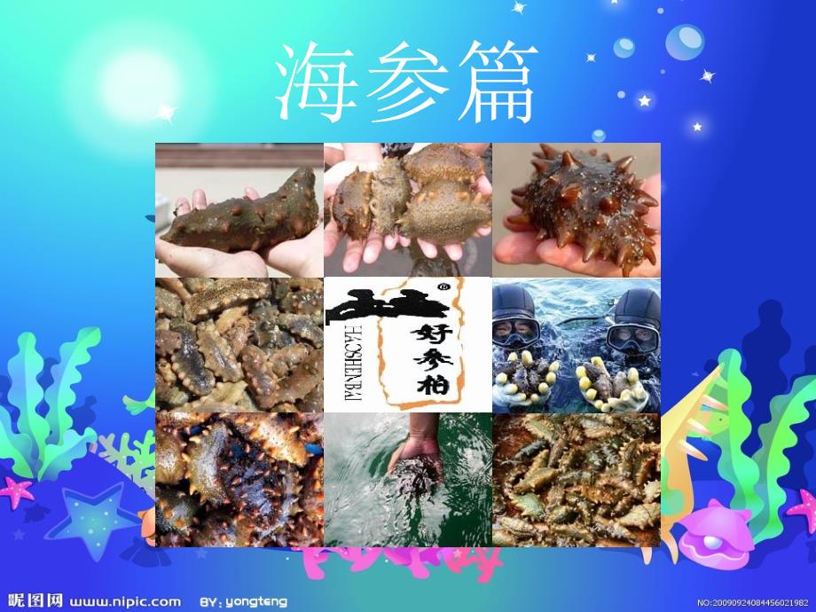 好参柏海参产品说明_第2页