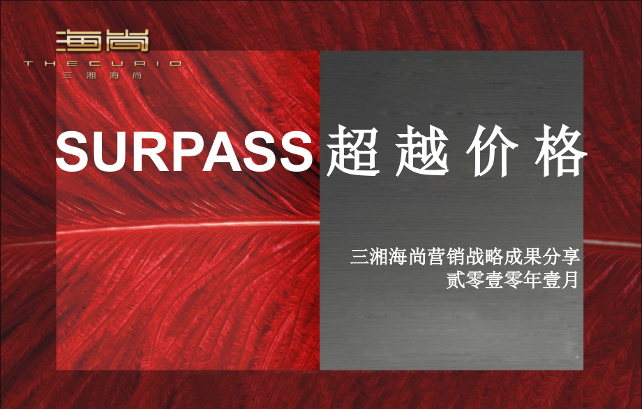 2009深圳最佳策划项目比赛【三湘海尚】_第4页