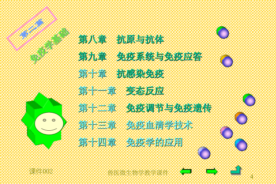 兽医微生物学课件_第4页