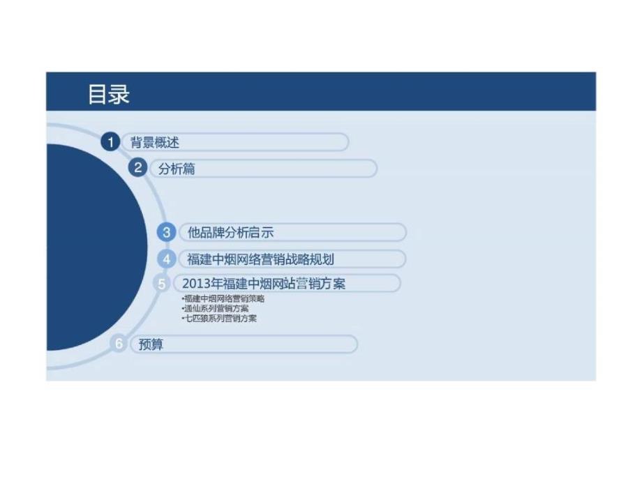 2013福建中烟网络营销整合方案_策略概述_第2页