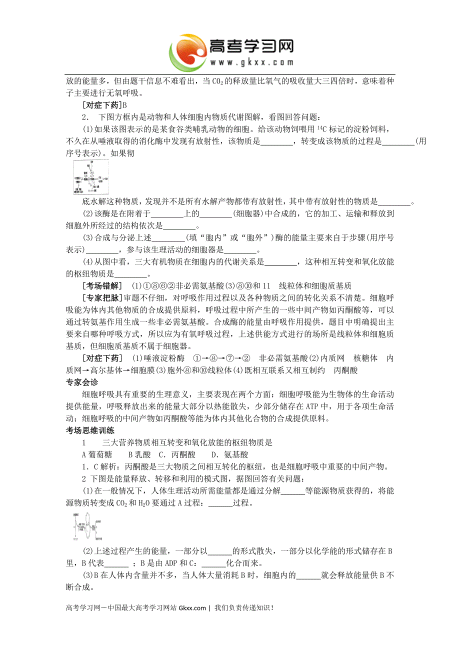 考点13细胞呼吸_第3页