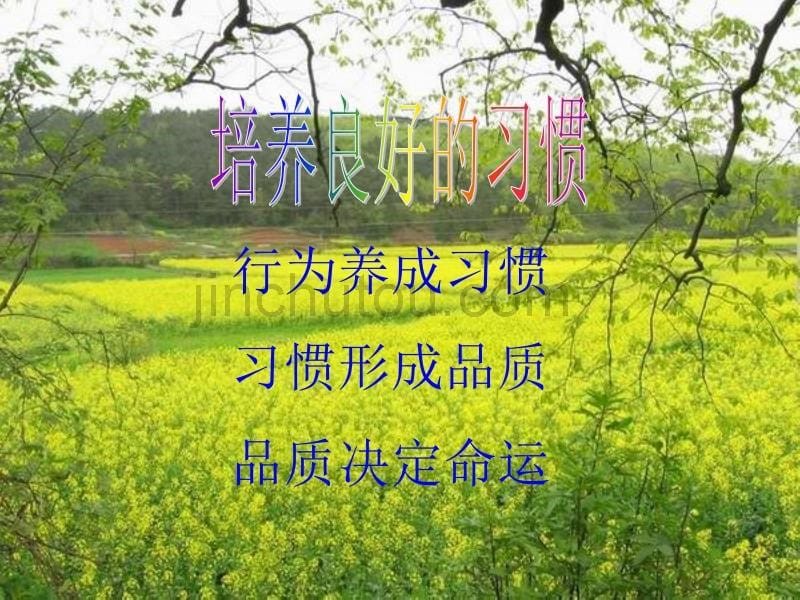 魏书生教育思想与学校管理(修改)_第5页