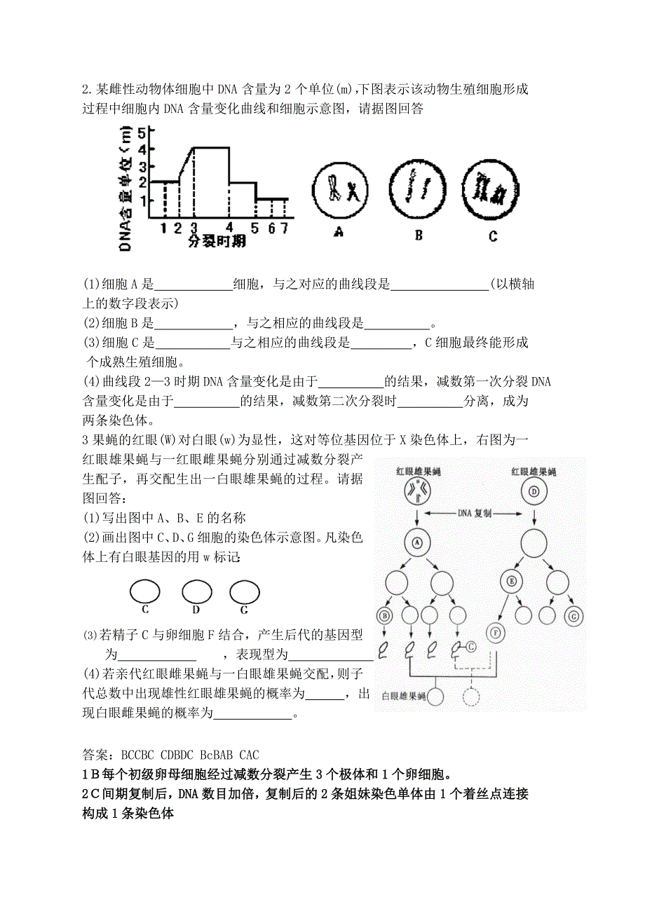 有丝分裂-减数分裂-复习题目-高中生物_第3页