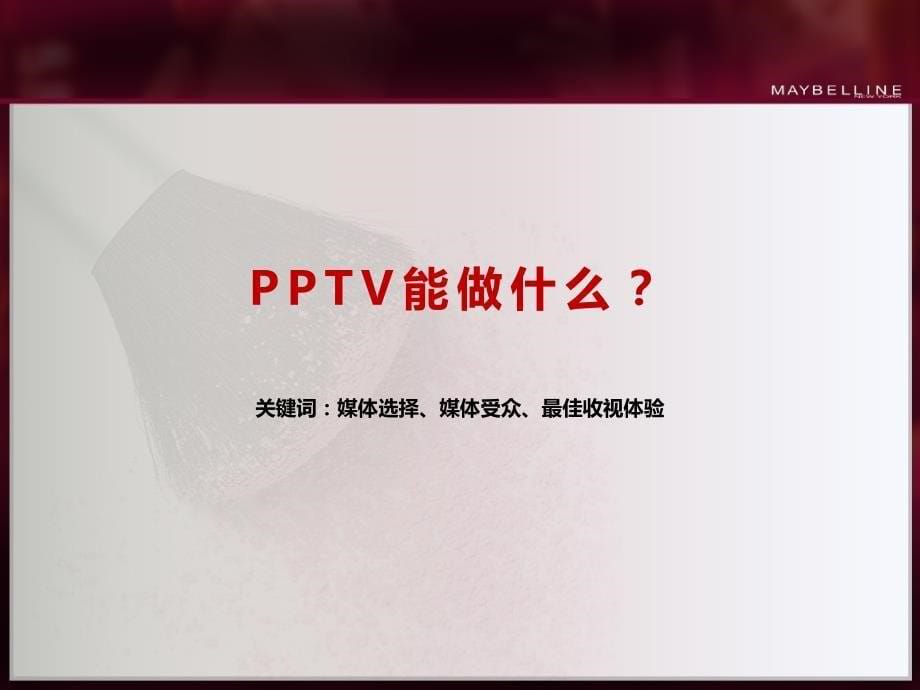 PPTV美宝莲2010年品牌推广方案-20100908(fin)_第5页
