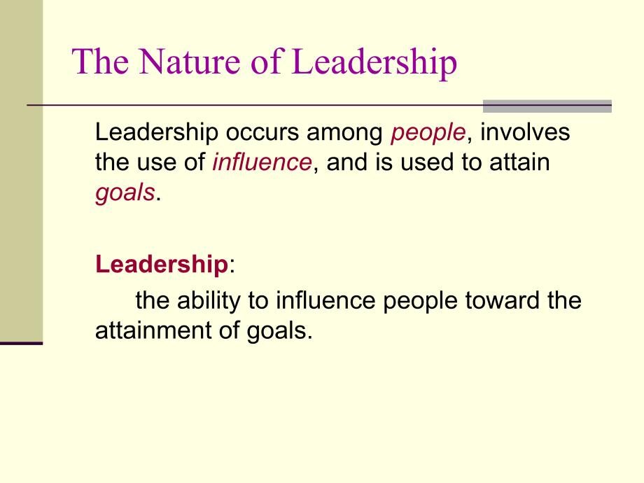 领导力培训LEADERSHIPINORGANIZATIONS-1_第3页