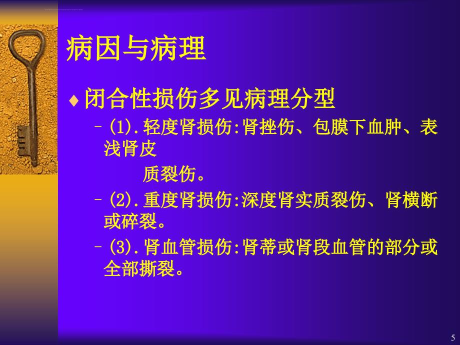 肾、膀胱损伤护理ppt课件_第4页