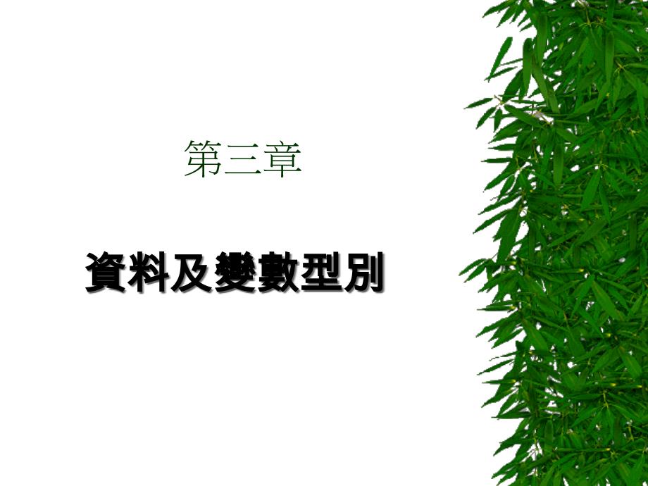 资料及变数型别_第1页