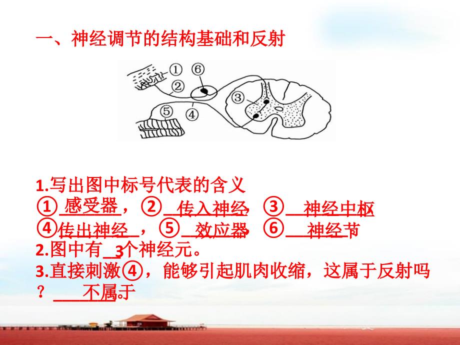 动物和人体生命活动调节ppt课件_第2页