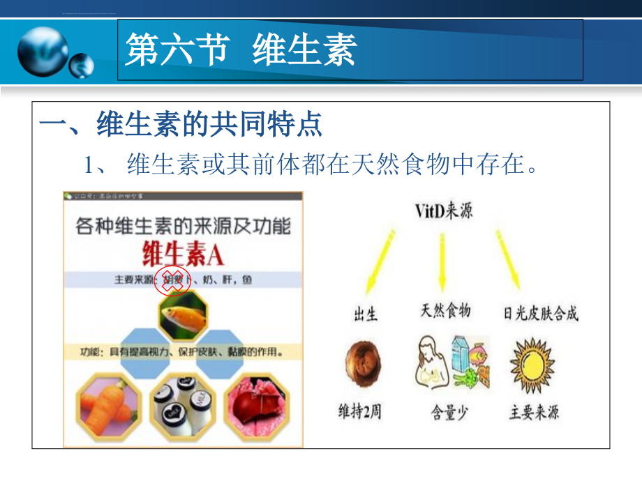 理论82.6维生素4学时ppt课件_第3页