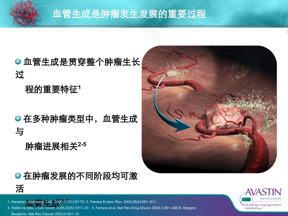 安维汀转移性结直肠癌靶向治疗ppt课件_第4页