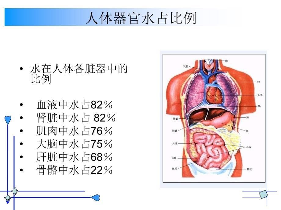 经典水与健康ppt课件_第5页