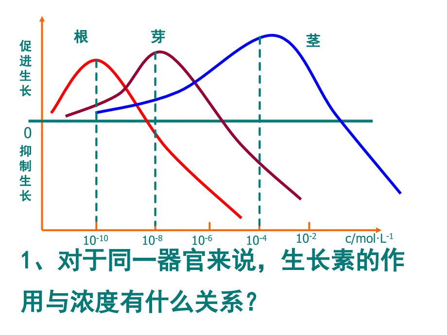 高中生物必修三3.2生长素的生理作用_第3页