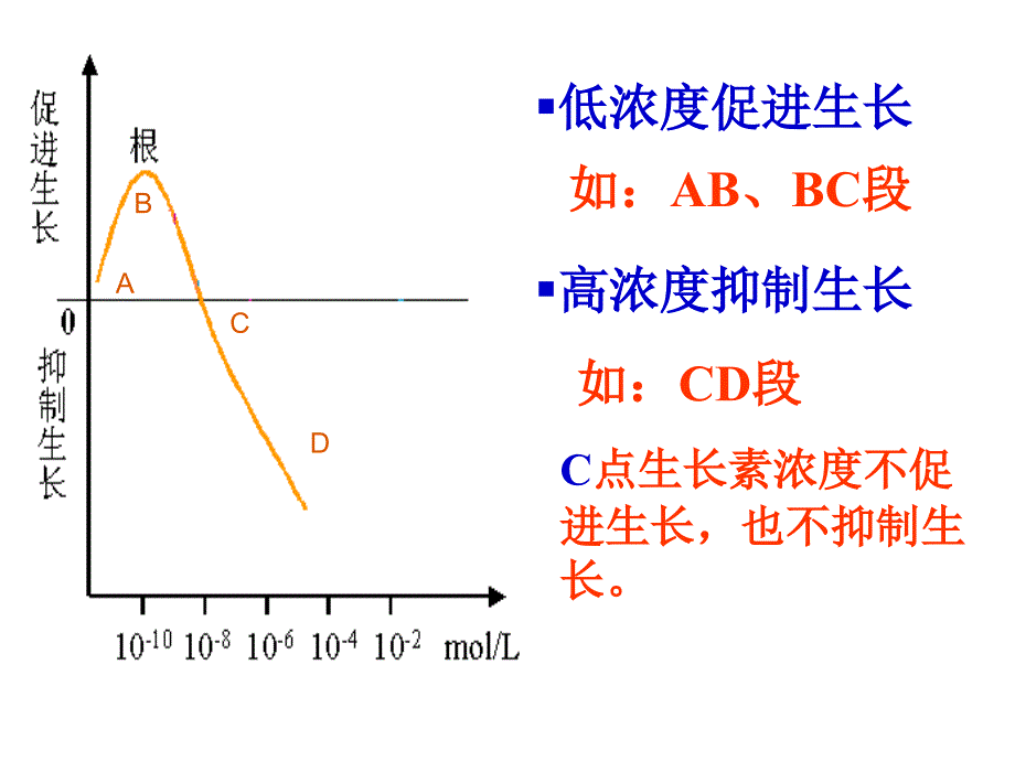 高中生物必修三3.2生长素的生理作用_第4页