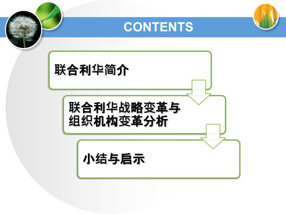 联合利华战略与组织结构变革ppt培训课件_第2页