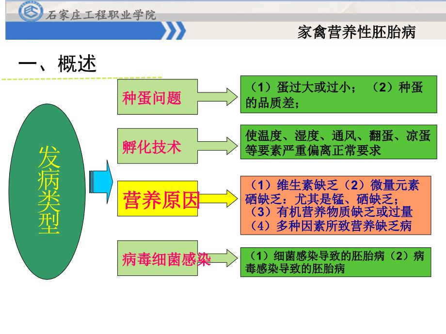 mooc小样家禽营养性胚胎病ppt课件_第4页