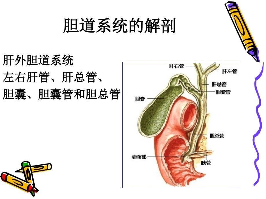 lcbde的护理ppt课件_第5页