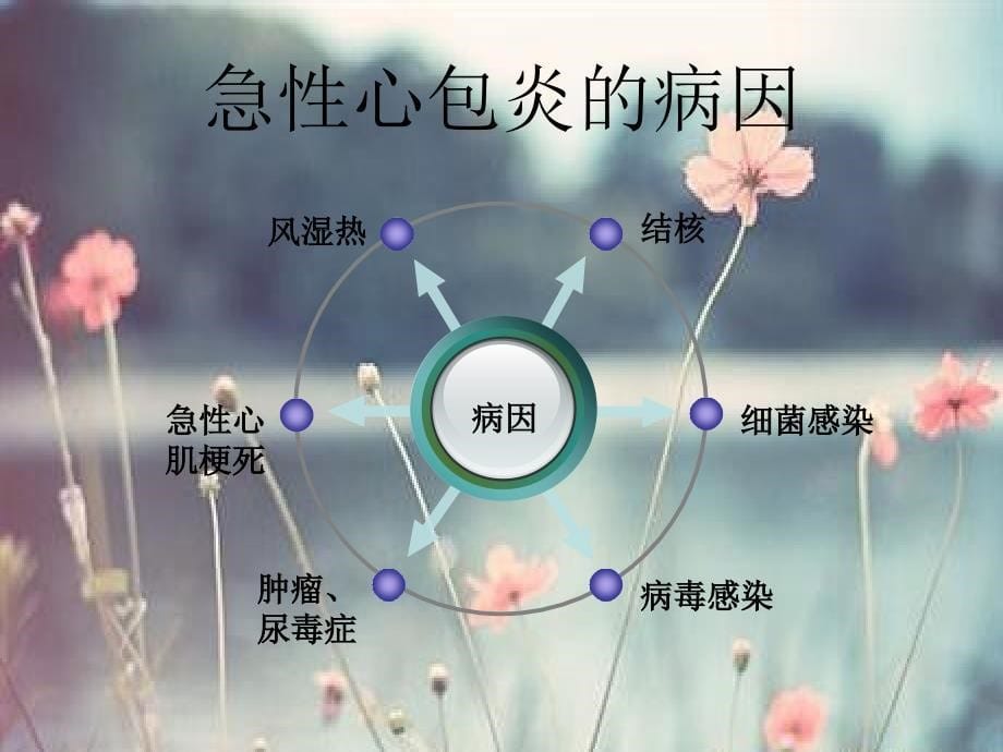 急性心包炎的护理ppt课件_第5页