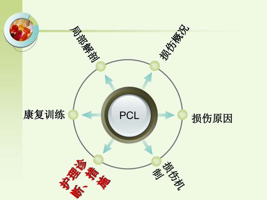 后交叉韧带重建术的护理ppt课件_第2页