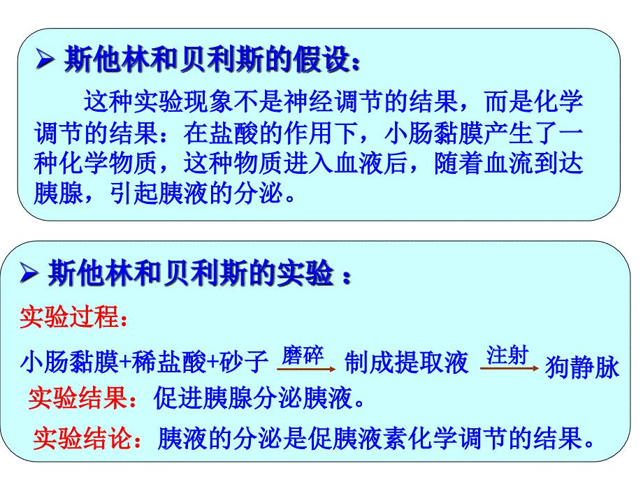 激素调节快速版胡ppt课件_第4页