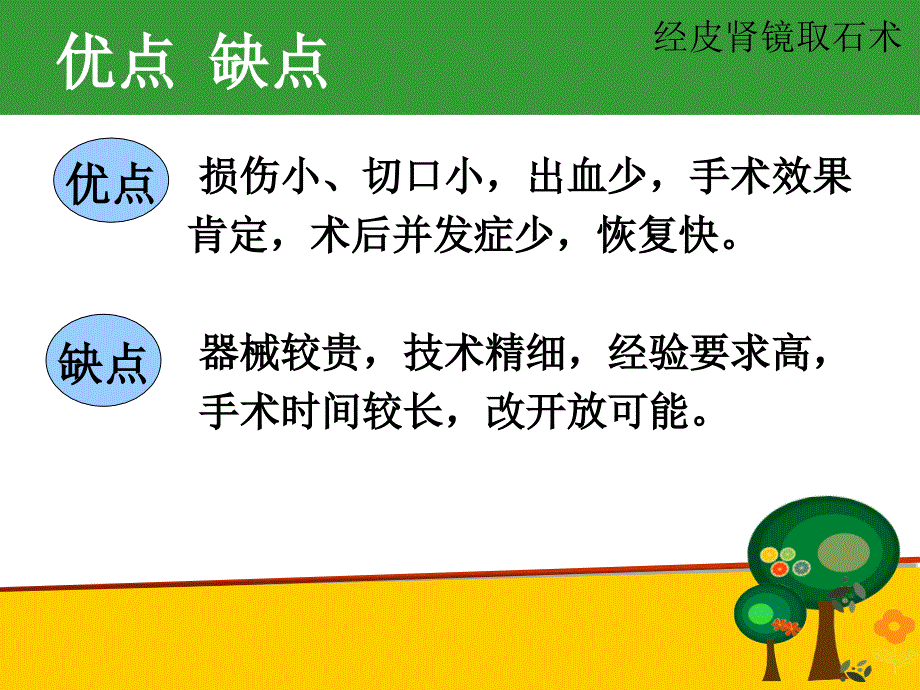 经皮肾镜碎石ppt课件_第4页