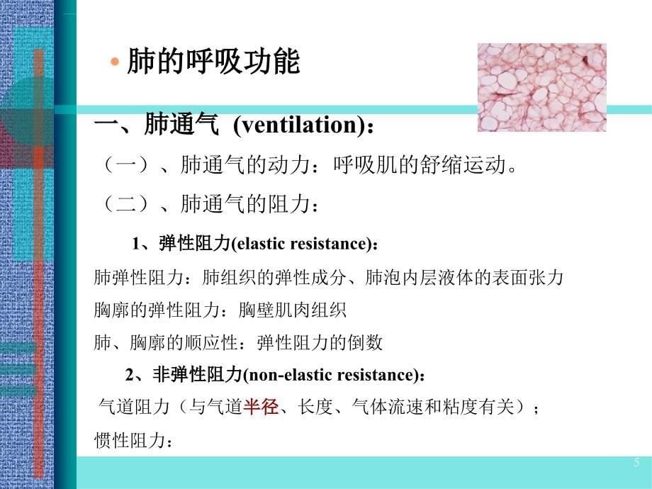 呼吸功能衰竭ppt课件_第5页