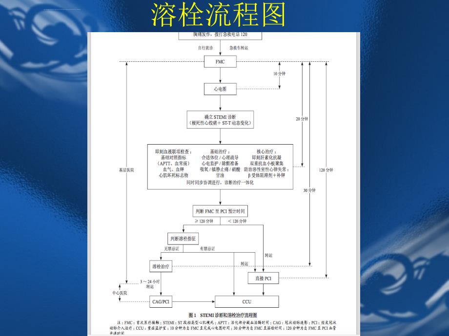 stemi溶栓标准规程ppt课件_第3页