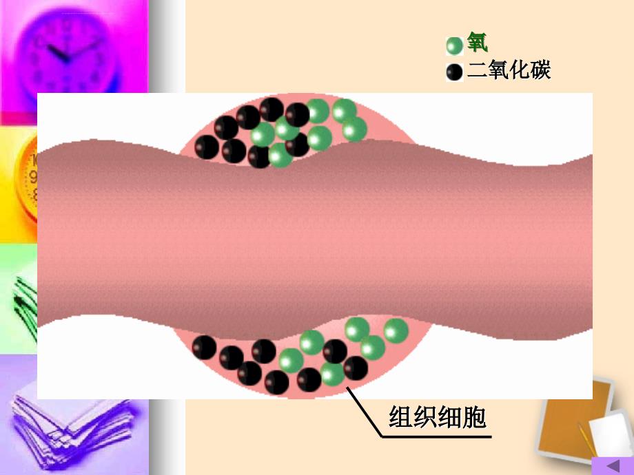 血液和血型ppt课件_第3页