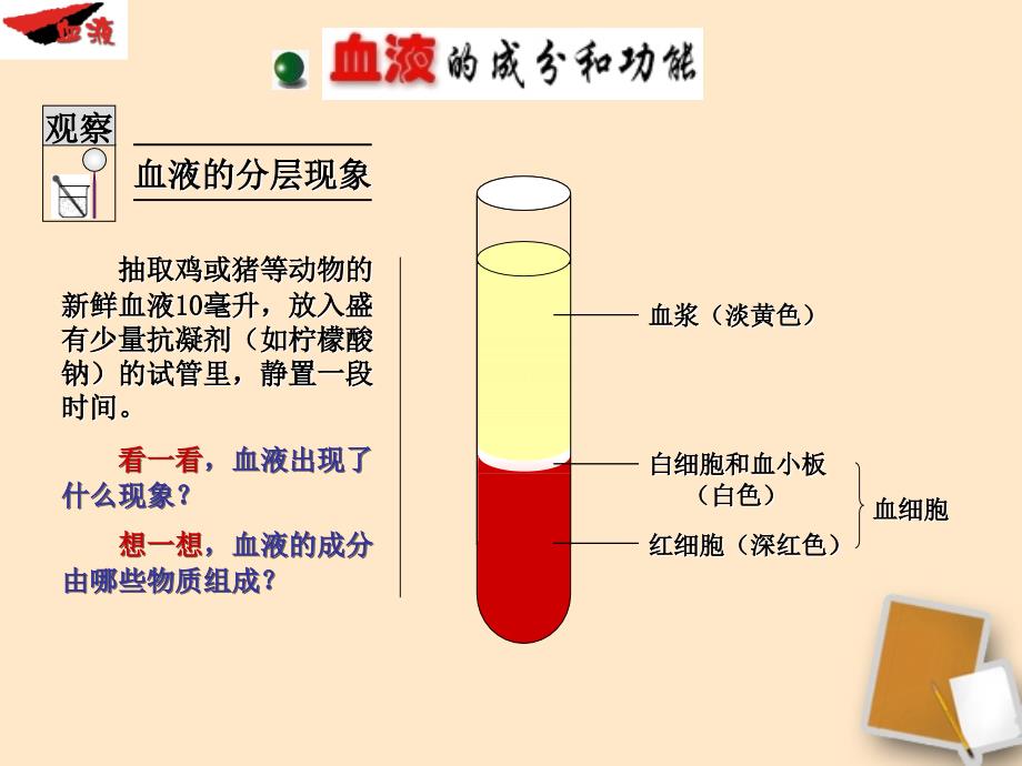 血液和血型ppt课件_第4页