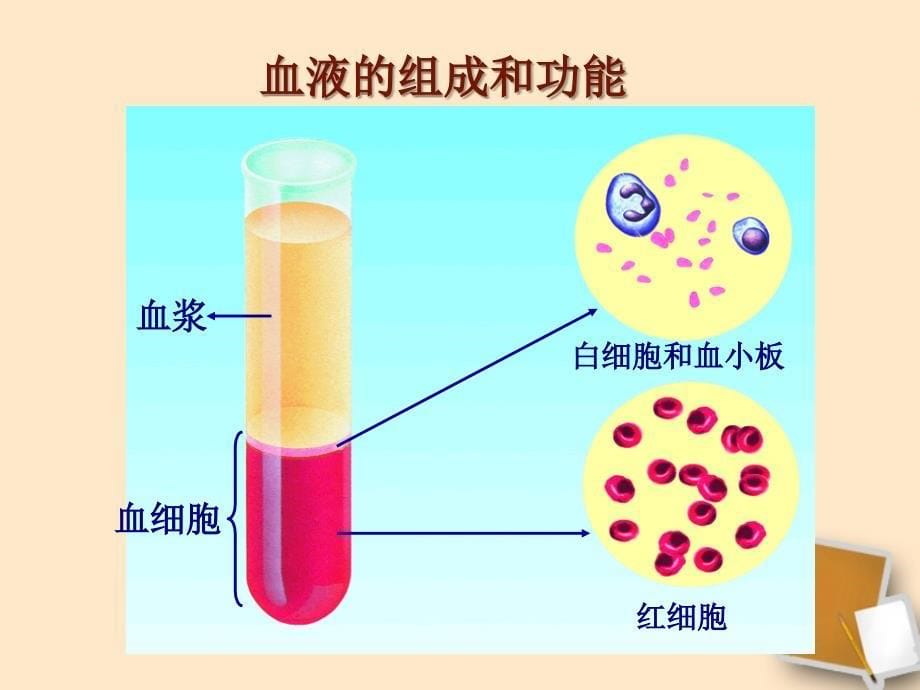 血液和血型ppt课件_第5页